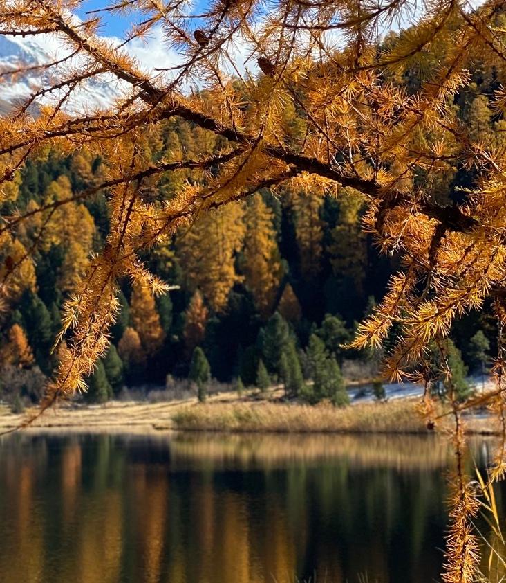 Herbst / Winter
