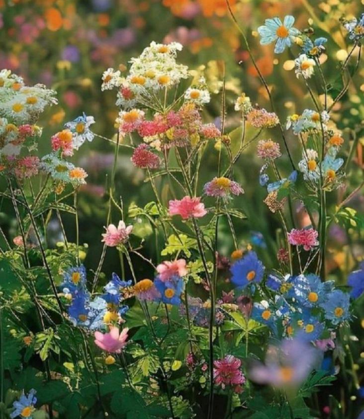 Frühling / Sommer