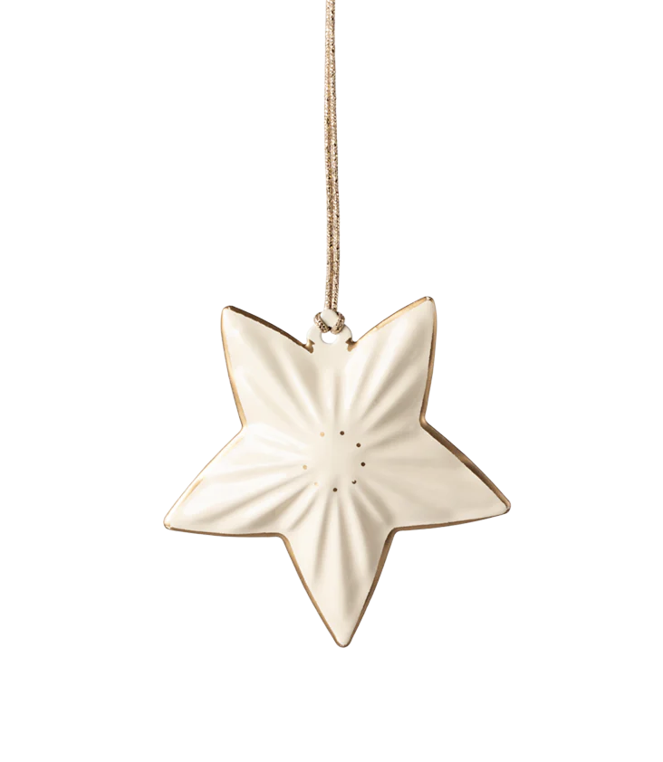 Metal Ornament Star - 0