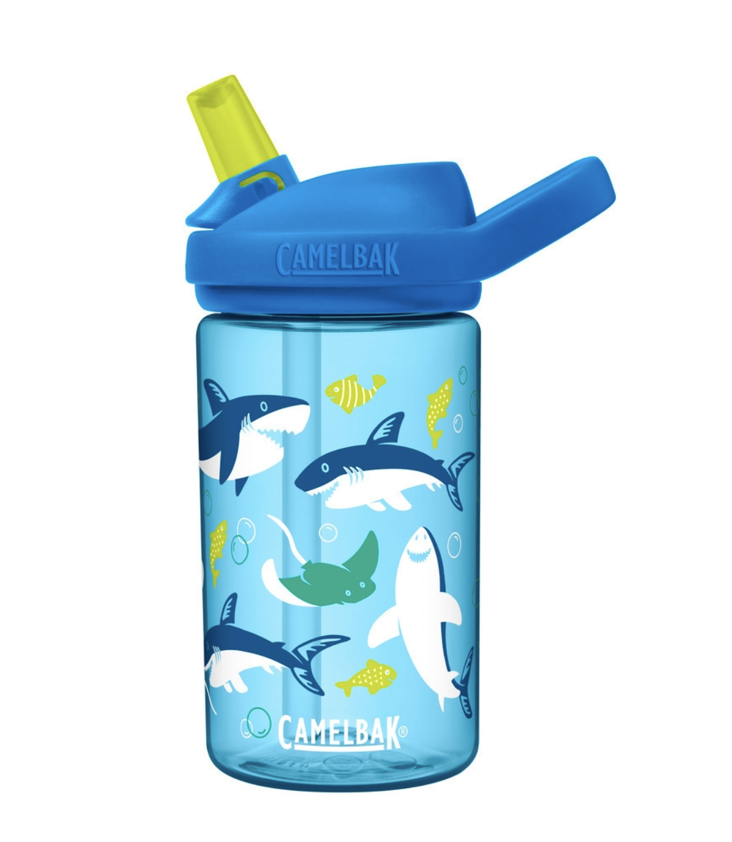 Camelbak Trinkflasche Eddy shark & rays