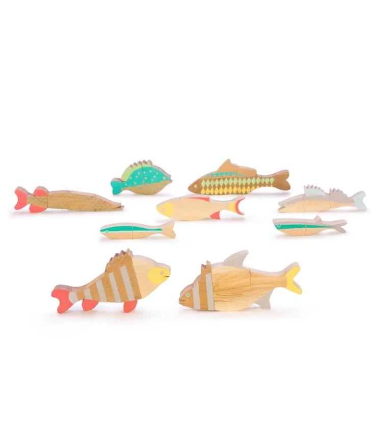 The Fishes of Balaton - 0