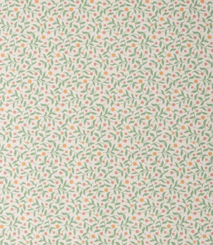 Giftwrap Berry Branches 10m - 0