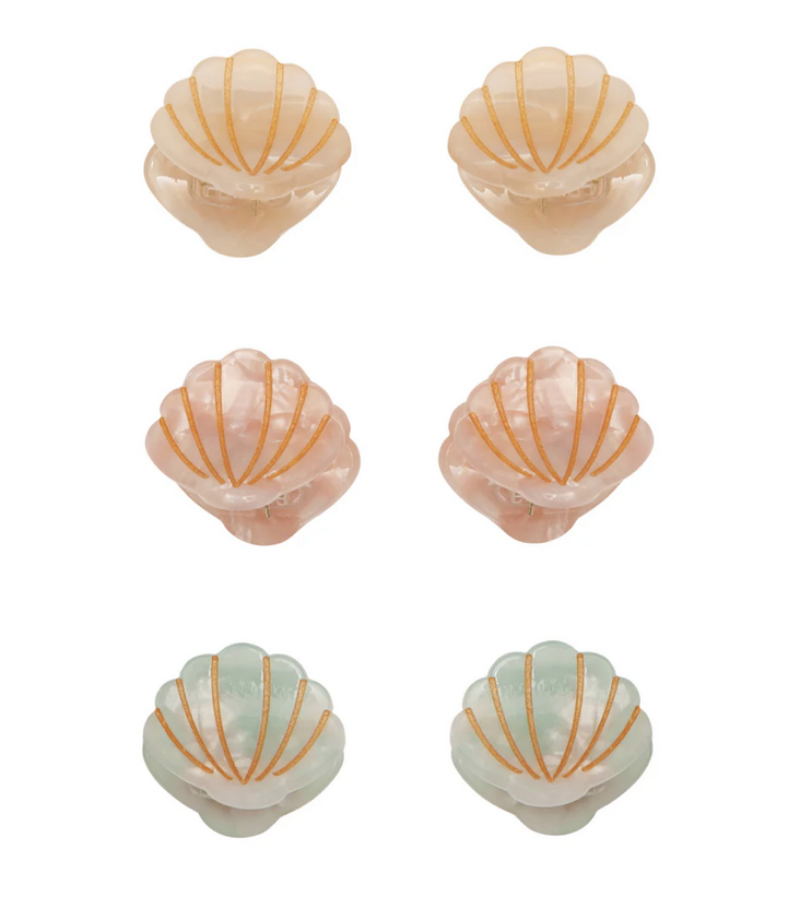 Hair Clips Shell Set of 6