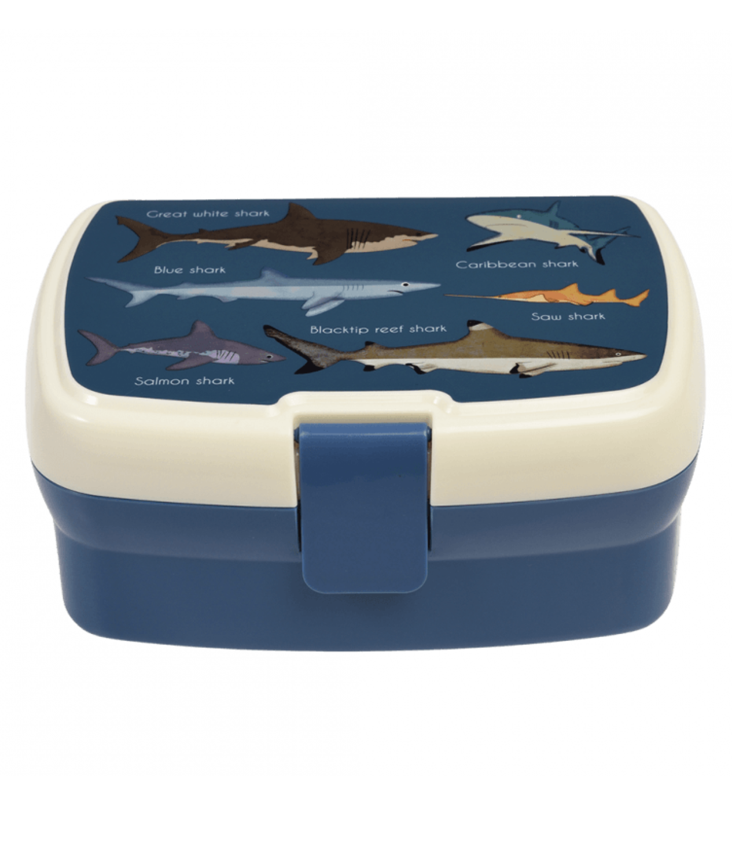 Lunchbox Haie