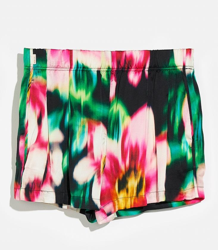 Peacock Shorts