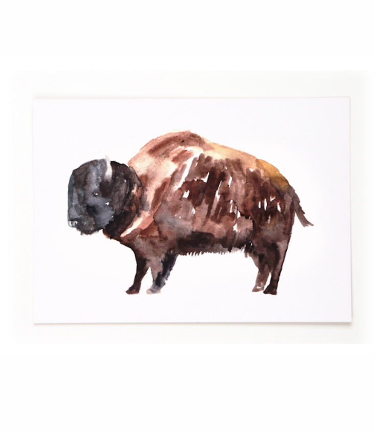 Postcard Bison