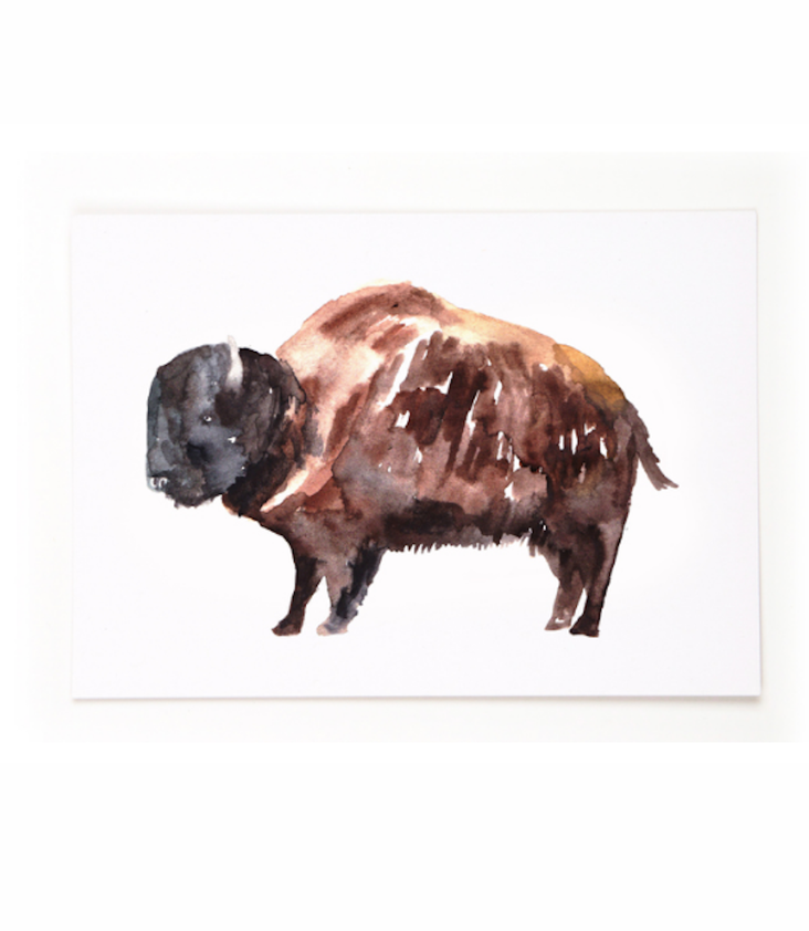 Postkarte Bison