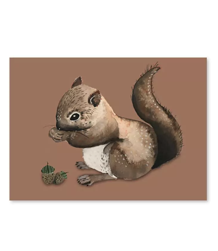 Postcard Squirrel