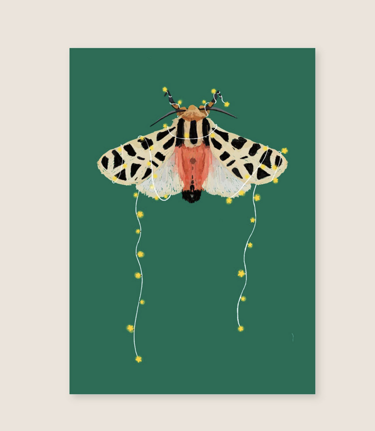 Postcard Moth with fairy light
