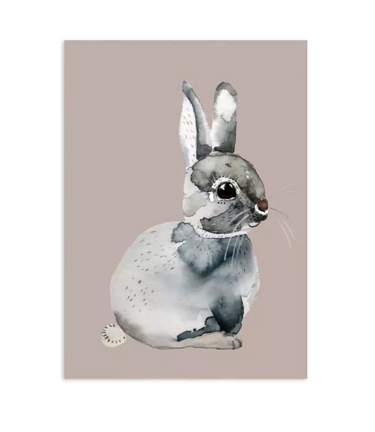 Postcard Bunny