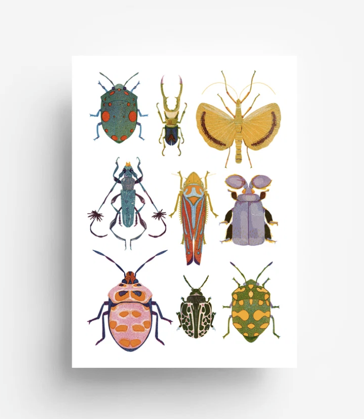 Postkarte Käfer