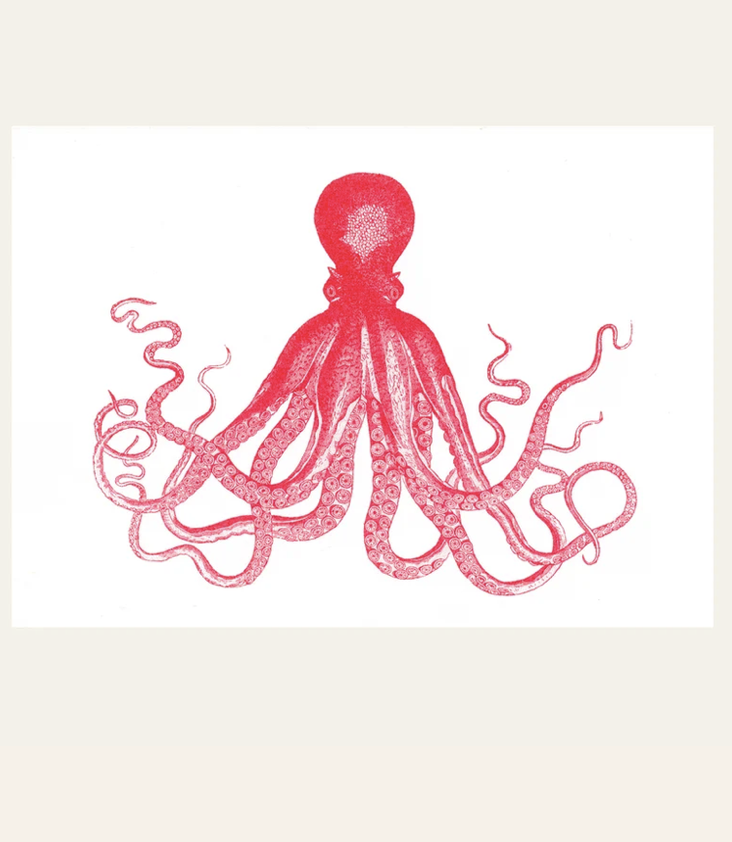 Postkarte Oktopus