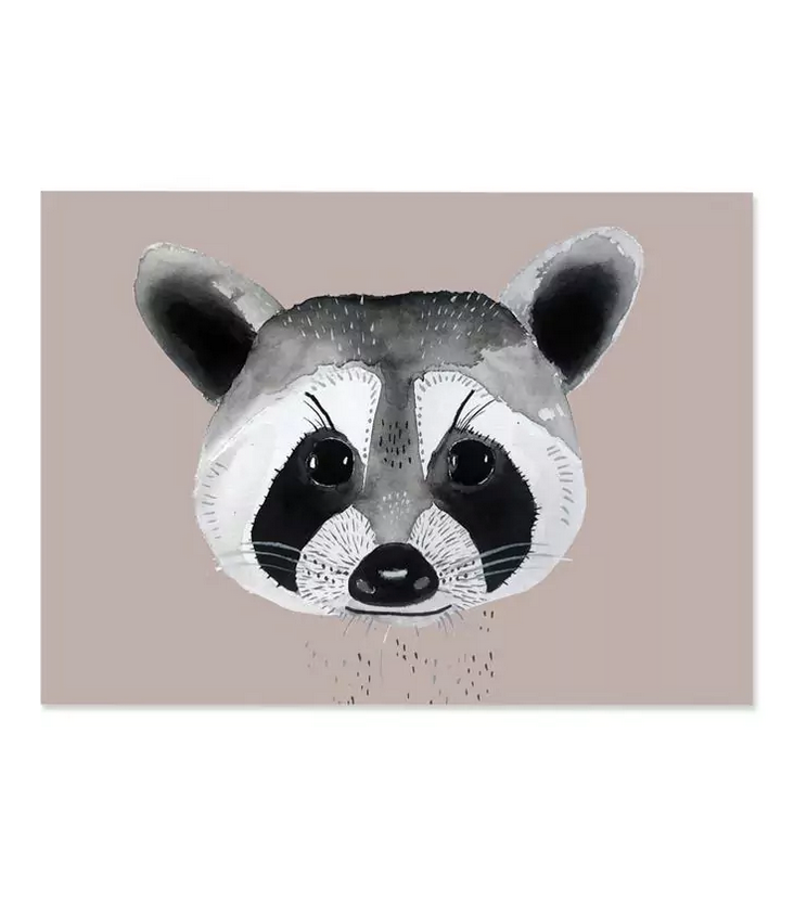 Postcard Raccoon