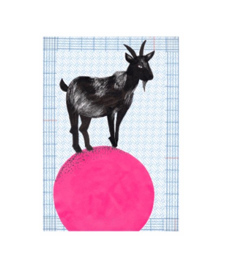 Postcard Goat