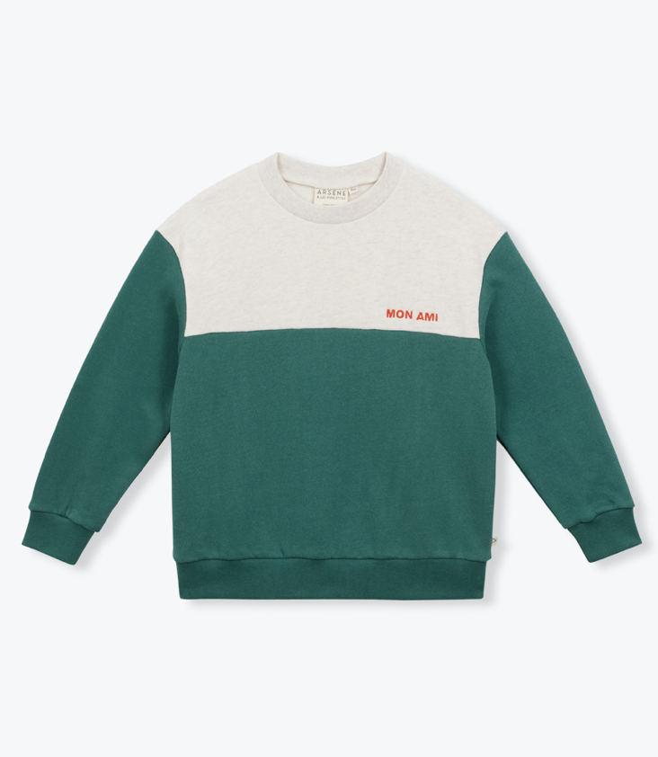 Pullover Bicolor