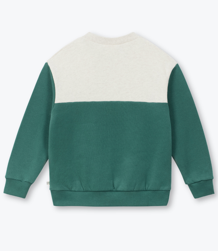 Sweater Bicolor - 0