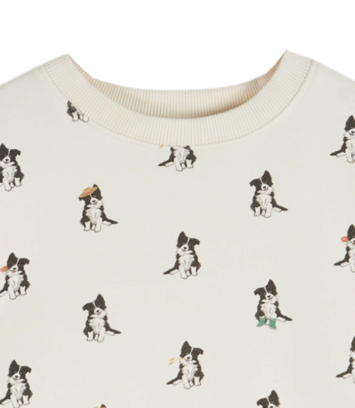 Pullover Border Collie - 0