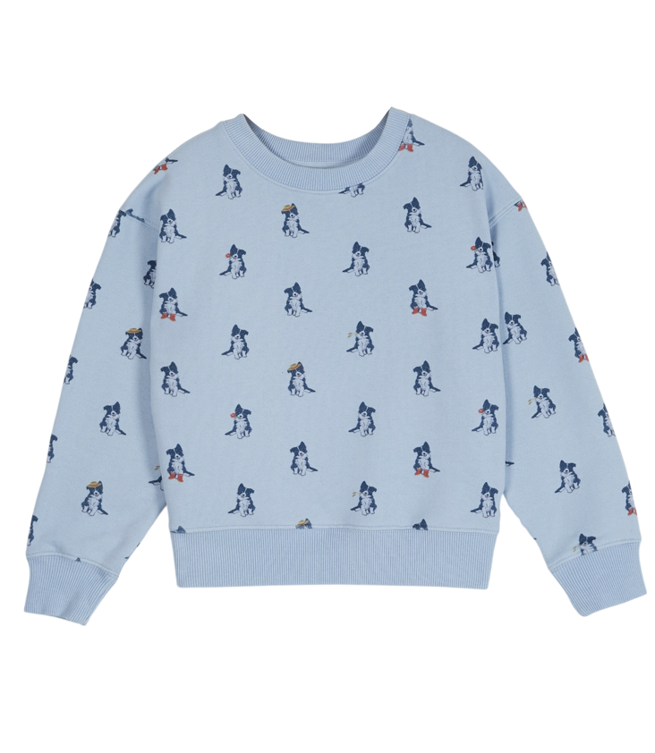 Jumper Border Collie