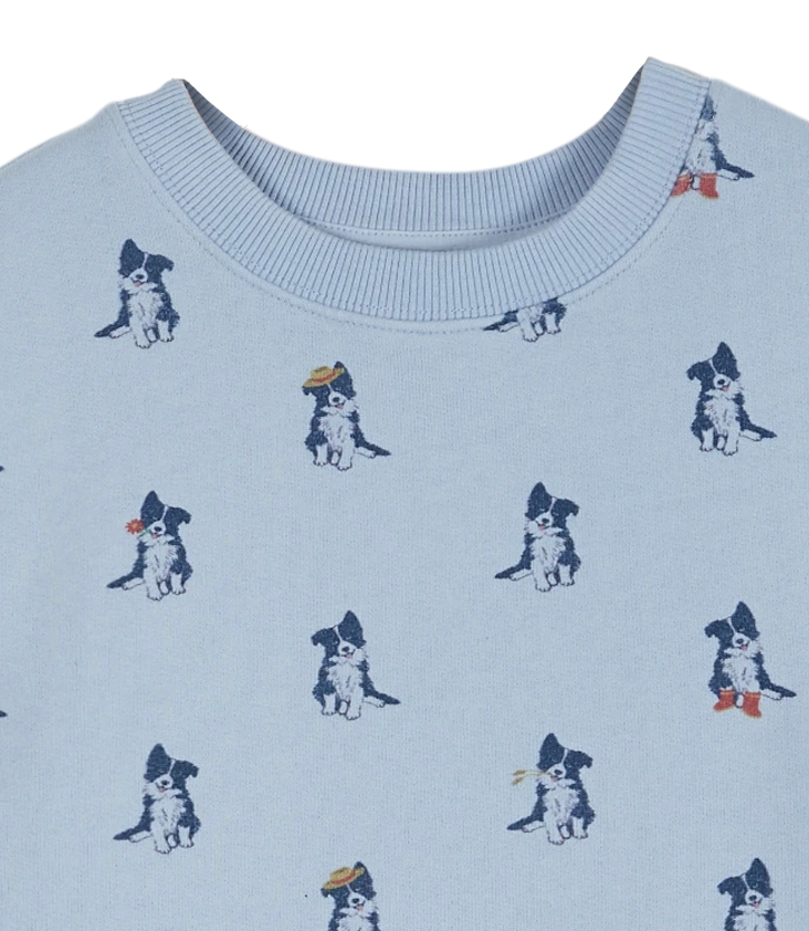Pullover Border Collie - 0