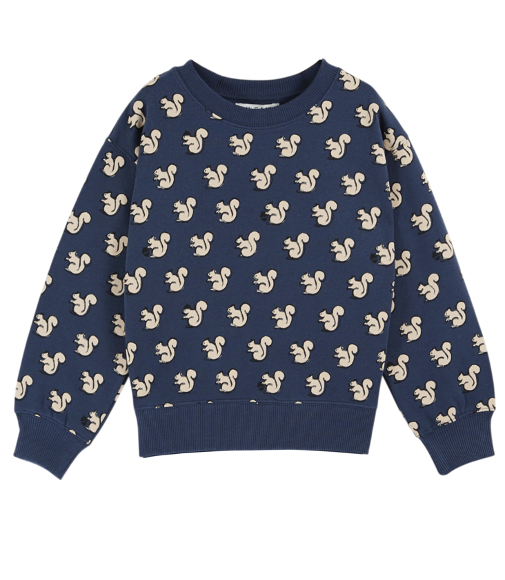 Pullover Eichhörnchen