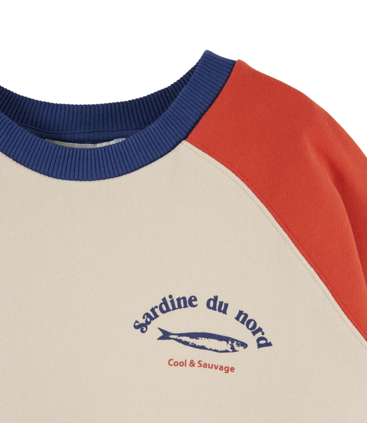 Pullover Sardinen - 0