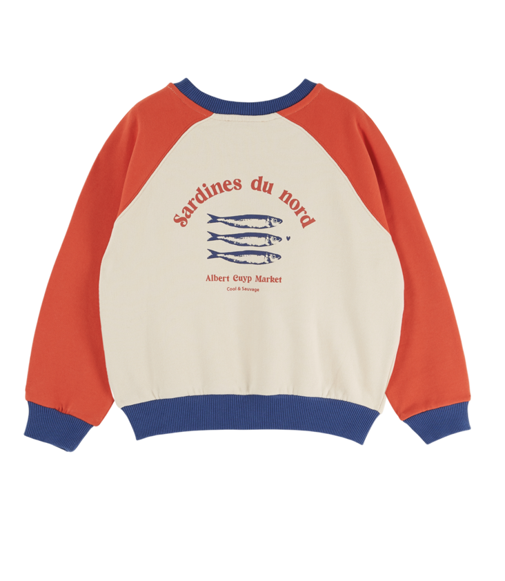 Pullover Sardinen - 1