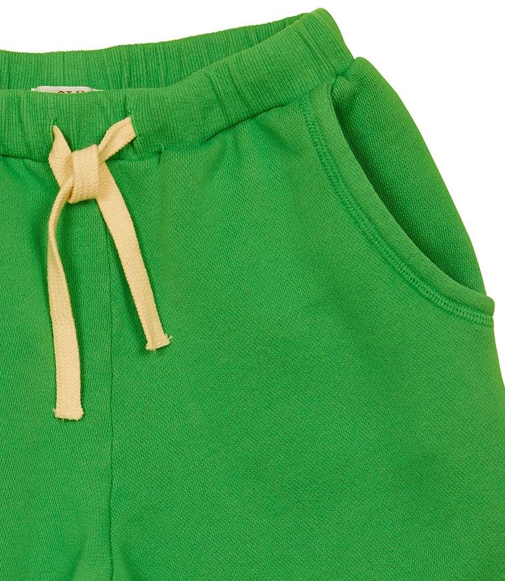 Shorts Pico 16y / 176 - 0