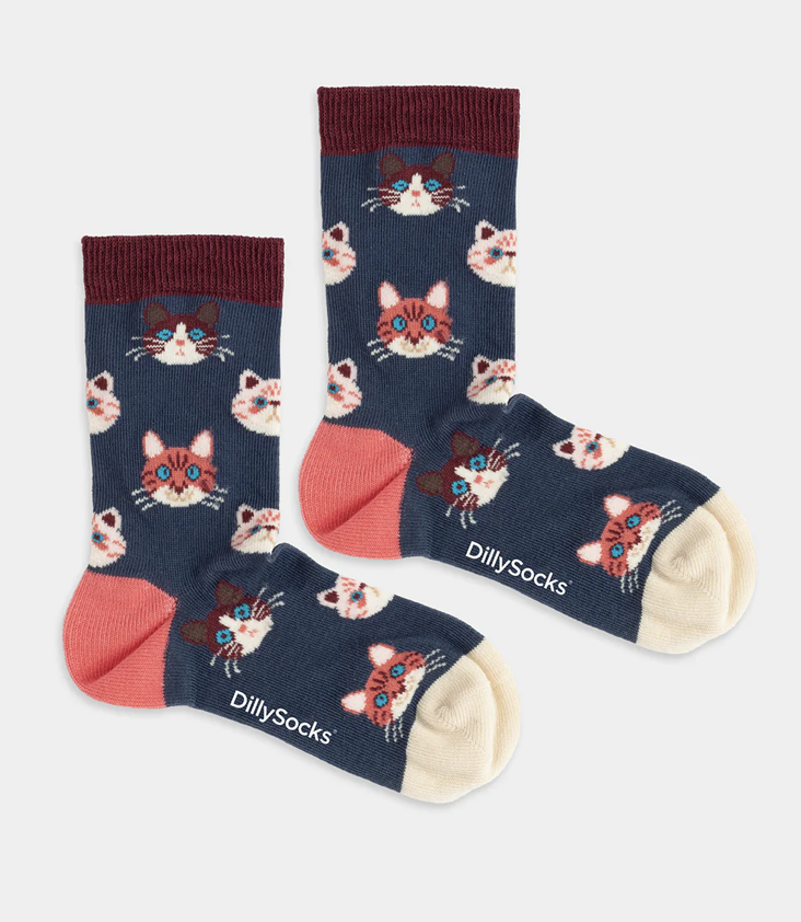 Socken Kitten