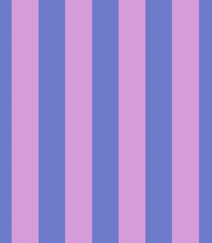 Bag Stripe - 1