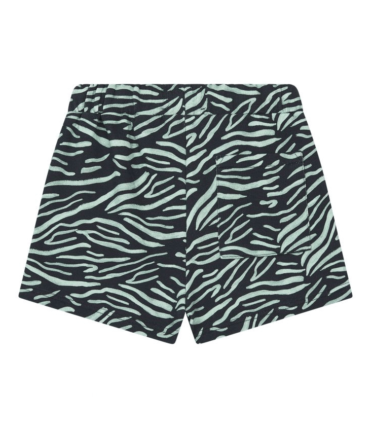 Zebra Shorts - 1